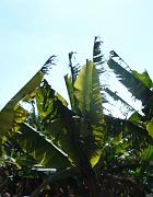 DSC02953 - Coral Bay